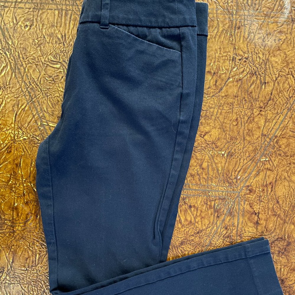 Loft Petites Women's Pant - Skinny Ankle Petite - 2P  Navy